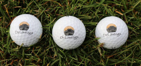 Titleist Tour Speed Golf Balls - Delaveaga Tree Logo - Sleeve, 3 balls